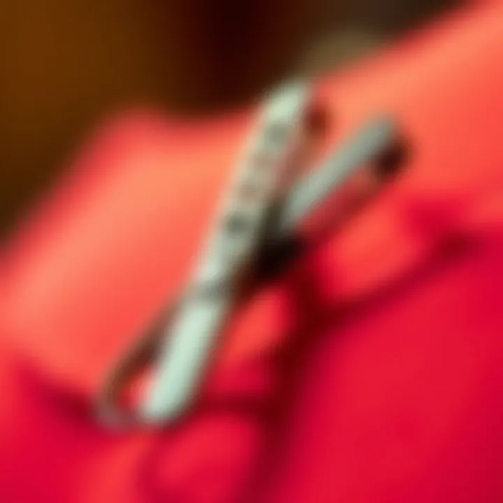 Magnificent The Metal Clothespin: Functionality and Design