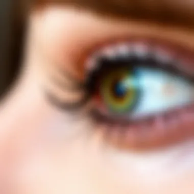 Detailed View of Outer Corner Eyelashes Close-up of expertly applied outer corner eyelashes