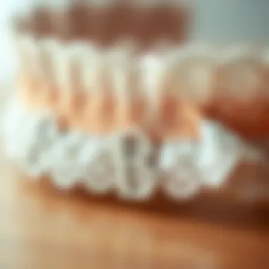 Personal Touch: Customization Options for Bridal Garters A close-up view of a personalized bridal garter with initials