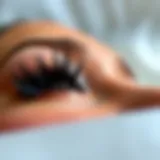 Elegant display of dual magnetic lashes showcasing intricate design