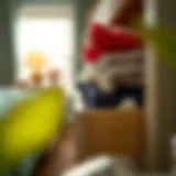 Dresser Drawer Air Fresheners: A Comprehensive Guide Introduction