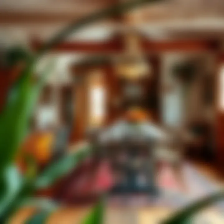 Inviting Bohemian Farmhouse Dining Area An inviting bohemian farmhouse dining area adorned with natural elements and vibrant colors