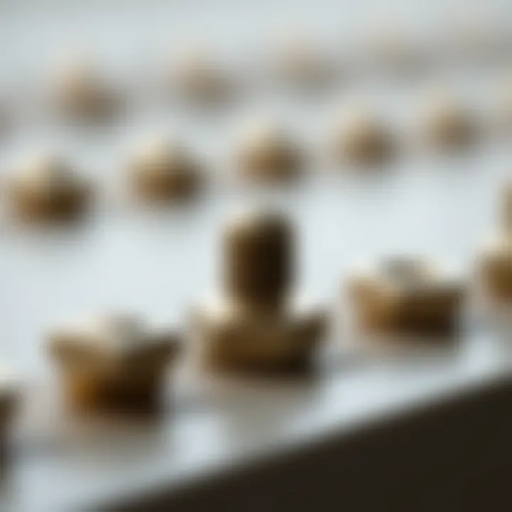 Notable Exploring Decorative Bolt Caps: An Overlooked Element in Fashion