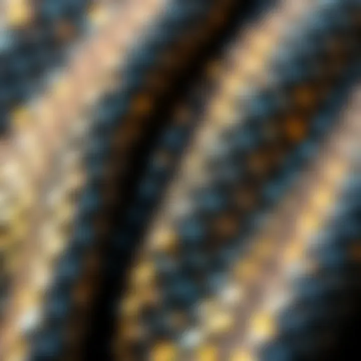 Sublime Textile Patterns in Fish Scale Fabrics Textile showcasing shimmering fish scale patterns