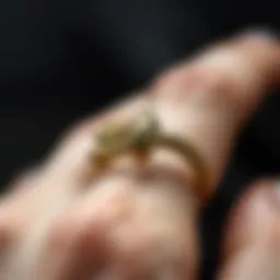 Close-up of a stylish snake bite piercing ring showcasing intricate design.