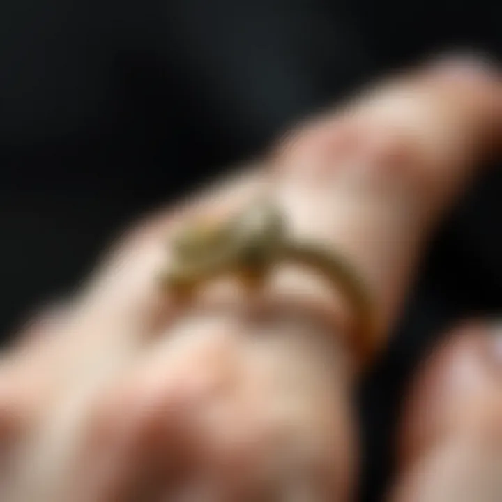 Close-up of a stylish snake bite piercing ring showcasing intricate design.