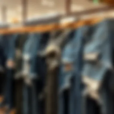 Variety of Deconstructed Styles Different types of plus size deconstructed jeans displayed on a rack