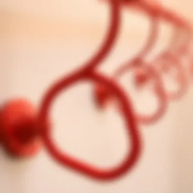 Close-Up View of Red Shower Curtain Hooks Material Close-up of red shower curtain hooks showcasing their material and finish