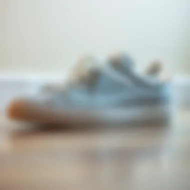 Maintenance Essentials for Glitter Sneakers Care and maintenance essentials for keeping silver glitter sneakers pristine