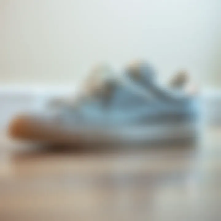 Maintenance Essentials for Glitter Sneakers Care and maintenance essentials for keeping silver glitter sneakers pristine