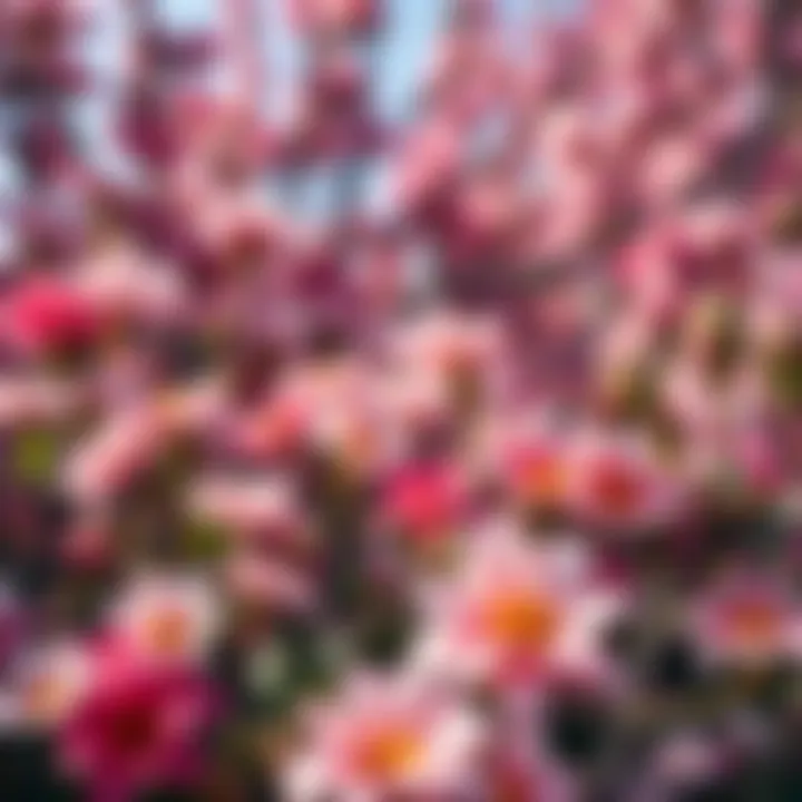 Blooming Floral Background A vibrant spring backdrop filled with blooming flowers