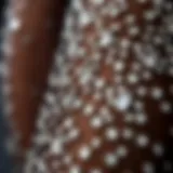 Intricate Details of Rhinestones on Mesh Close-up view of rhinestones on mesh fabric