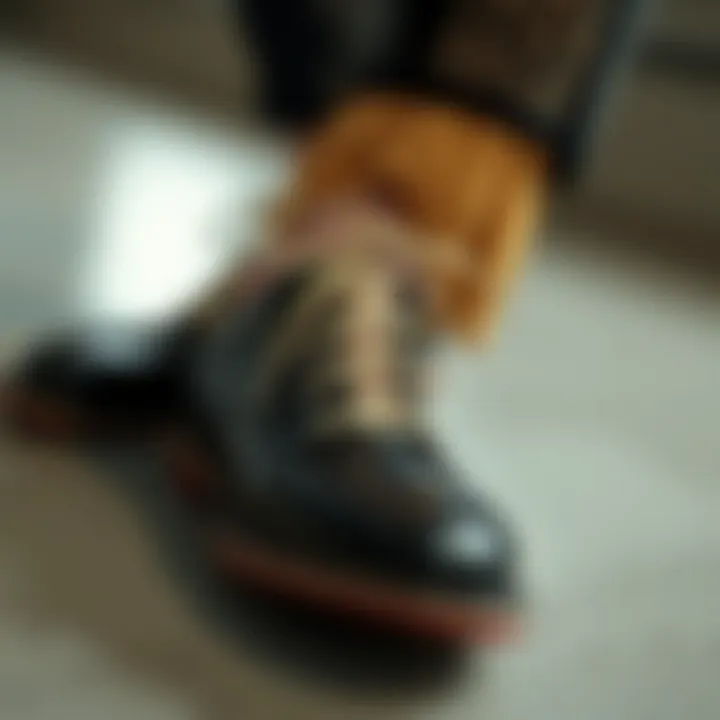 Exquisite Laces Elevating Footwear Elegance Elegant shoes enhanced by exquisite laces