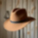 Elegant wide brim felt cowboy hat displayed against a rustic backdrop