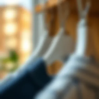 Innovative Features of Shorts Hangers Close-up of innovative hanger features designed for shorts