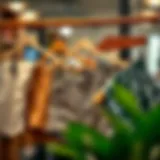 Diverse Hanger Designs for Shorts Different types of hangers for shorts showcasing varied materials and designs