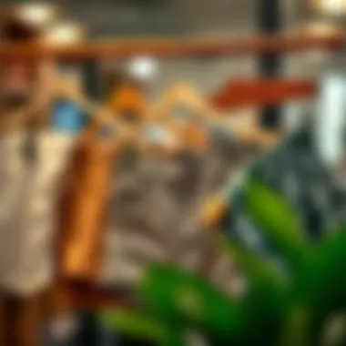 Diverse Hanger Designs for Shorts Different types of hangers for shorts showcasing varied materials and designs