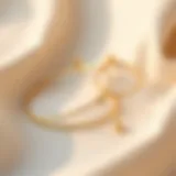 Elegant Gold Anklet Extenders Elegant gold anklet extenders displayed on a soft fabric background