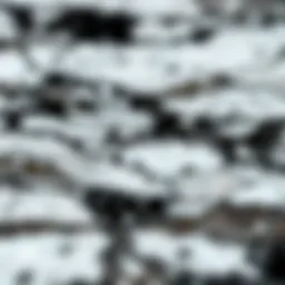 Close-up view of granite contact paper showcasing texture and pattern