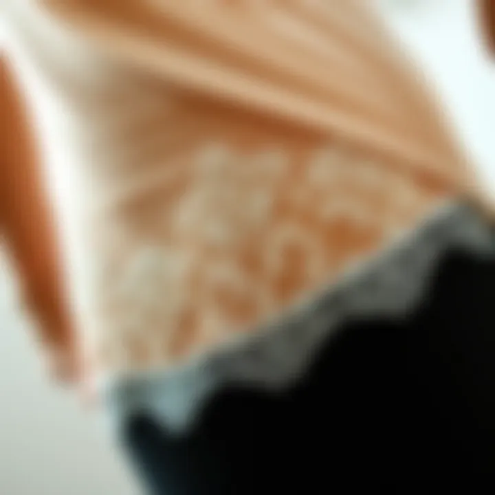 Intricate Lace Detailing Close-up of intricate lace detailing on a half slip