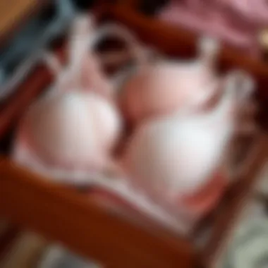 Maintaining Ideal Bra Condition A well-organized drawer showcasing neatly folded bras