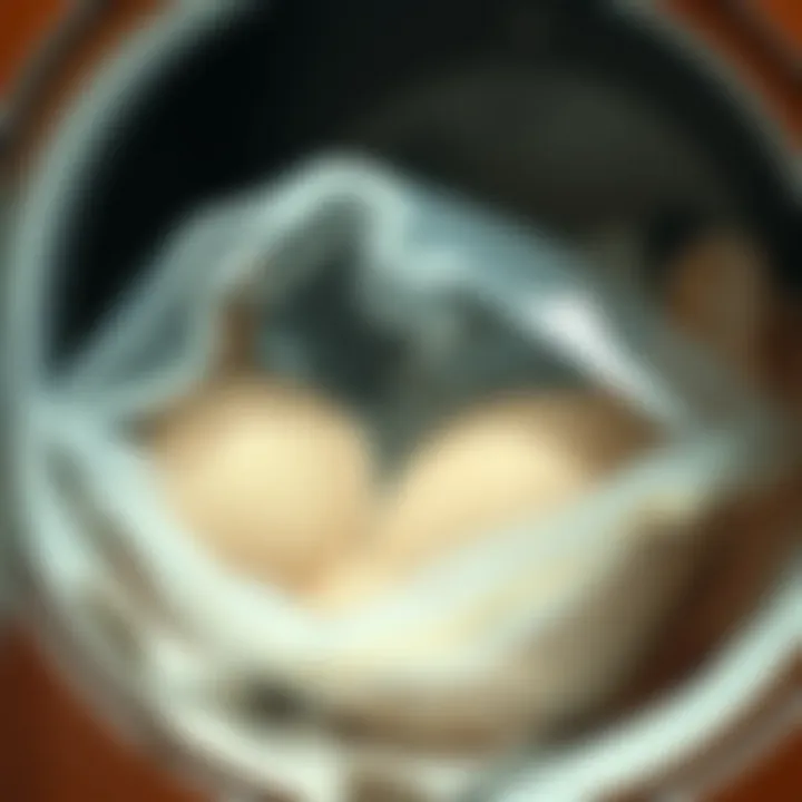 Protecting Your Delicate Bras A delicate bra resting inside a dryer bag to protect it during laundry