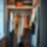 Organized Wardrobe Excellence A beautifully organized wardrobe showcasing various styles of clothes hanger organizers.