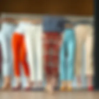 A selection of petite size capri pants in various colors and patterns