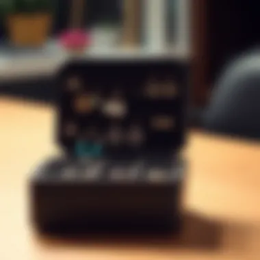 Stylish earring holder with organized compartments