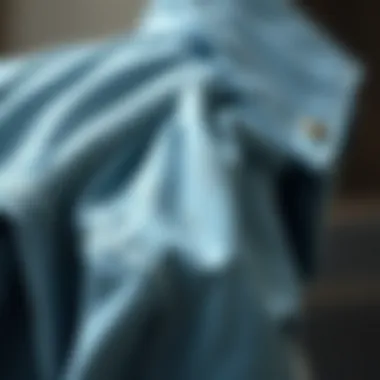 Intricate Textures of the Puff Shoulder Style Close-up of fabric texture showcasing the puff shoulder design