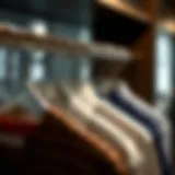 Modern Wardrobe with Stainless Steel Hangers Sleek stainless steel pants hangers showcasing modern wardrobe aesthetics