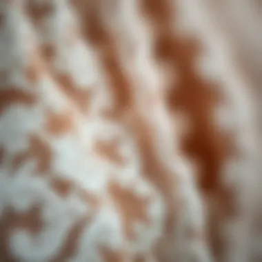 Close-up of lace fabric showcasing texture