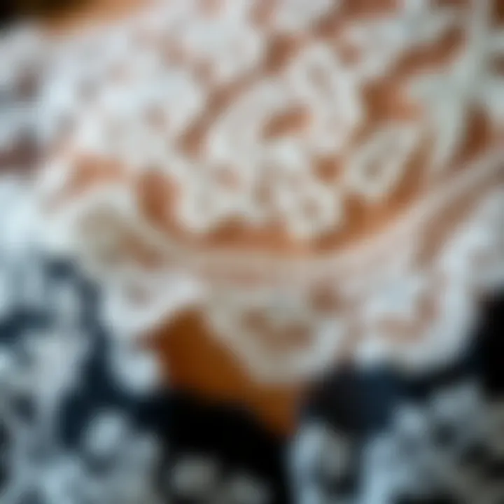 Craftsmanship in Delicate Lace Patterns Close-up view of delicate lace patterns symbolizing craftsmanship