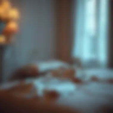 A serene bedroom setting featuring a satin nightgown on a soft bed