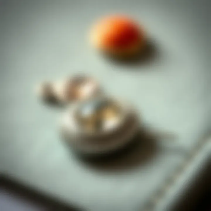 Craftsmanship in Magnetic Brooch Pins Close-up of a beautifully crafted magnetic brooch pin highlighting materials