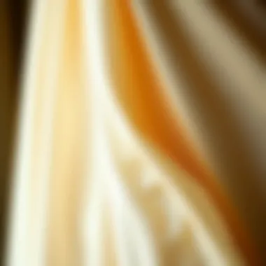 Close-up of intricate fabric detailing on a formal dress