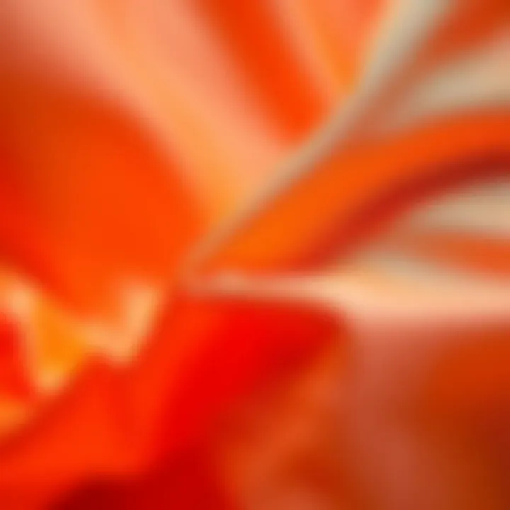 Close-up of neon fabric showcasing texture and color