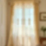 Elegant vintage embroidered sheer curtain draped in a sunlit room