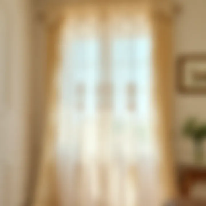 Elegant Vintage Embroidered Sheer Curtain Elegant vintage embroidered sheer curtain draped in a sunlit room