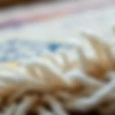 Craftsmanship in Lang Rugs Close-up of rug fibers illustrating the craftsmanship of Lang rugs