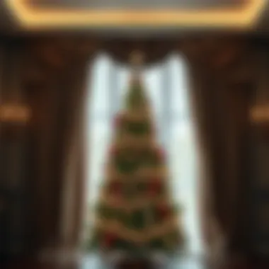 Elegant Drapery Enhancing Christmas Tree Elegant curtains draping around a beautifully adorned Christmas tree