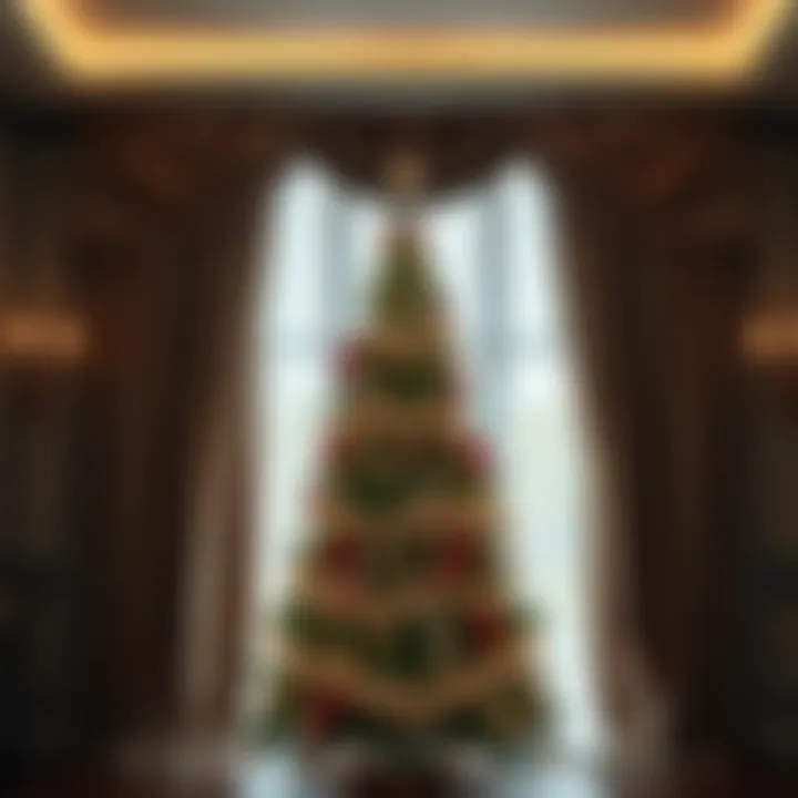Elegant Drapery Enhancing Christmas Tree Elegant curtains draping around a beautifully adorned Christmas tree