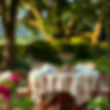 Charming Outdoor Dining Setup with Tablecloth A serene outdoor dining setup featuring a charming tablecloth, surrounded by nature, illustrating the harmony of design and environment.