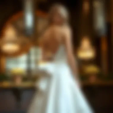 The Gown with Tail: An Exploration of Elegance and Design Summary The Gown with Tail: An Exploration of Elegance and Design Summary