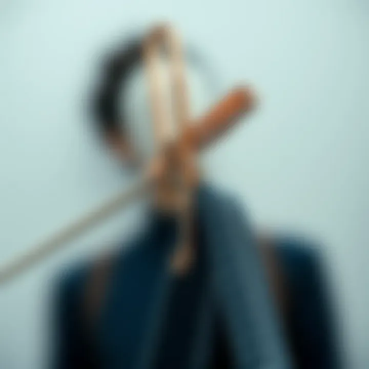 The Metal Clothespin: Functionality and Design Introduction