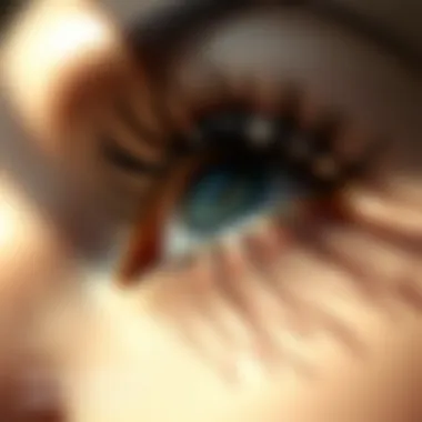 The Allure of Long, Luxurious Lashes Close-up of luxurious long eyelashes bathed in natural light