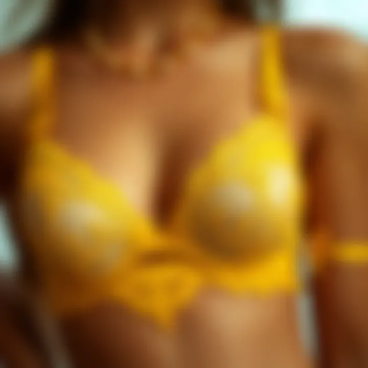 Historical Evolution of Lace Lingerie Historical illustration showcasing the evolution of lace lingerie designs