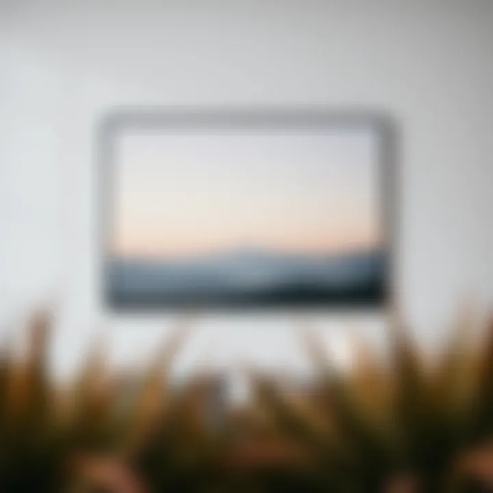 A serene landscape photograph displayed in a minimalist setting