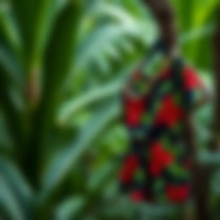 Tropical Print Romper in Nature Vibrant tropical print romper displayed against a lush green backdrop