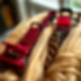 Elegant arrangement of various types of root lifting clips